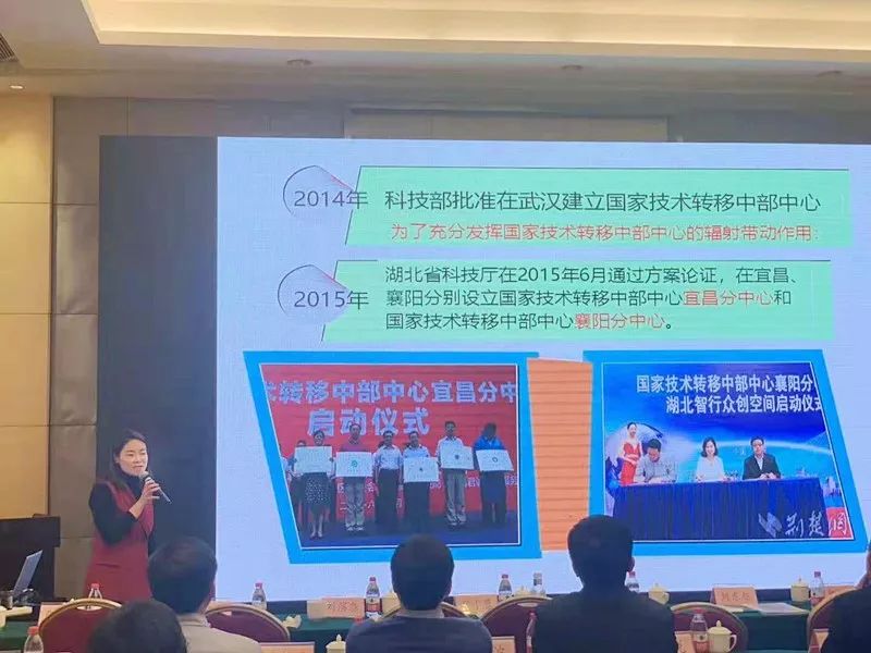 向艷 探索科技中介服務新模式